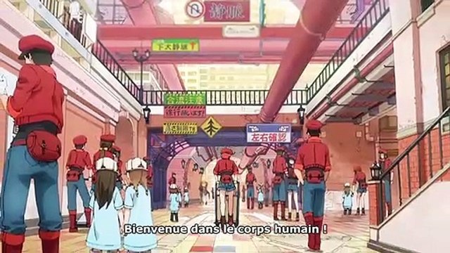 Les Brigades immunitaires - saison 1 Bande-annonce VO