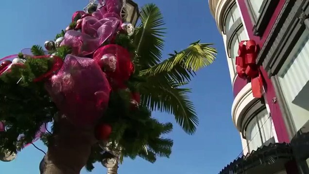 Le Chien qui a sauvé Noël Bande-annonce VO