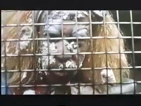 Air Bud - Buddy star des paniers Bande-annonce VF