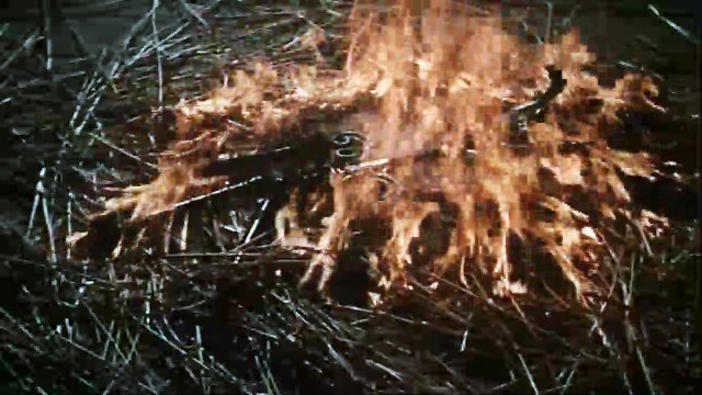 L'Affaire des poisons Bande-annonce VF