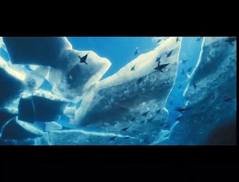 Océans Teaser VF
