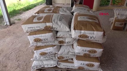 TÜRKİYE'NİN SOYA FASULYESİ İHTİYACININ YÜZDE 5'İ AMASYA'DAN?