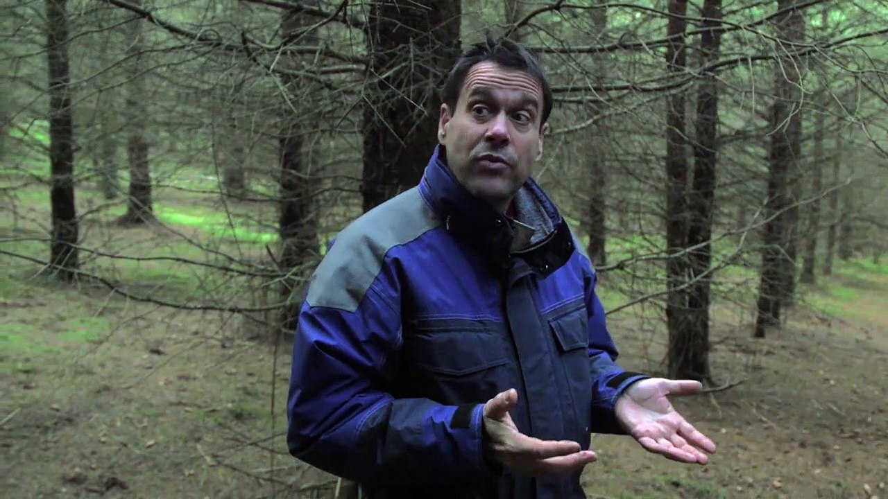 Le Temps des forêts EXTRAIT "Est-ce qu'on peut appeler ça une forêt ?"