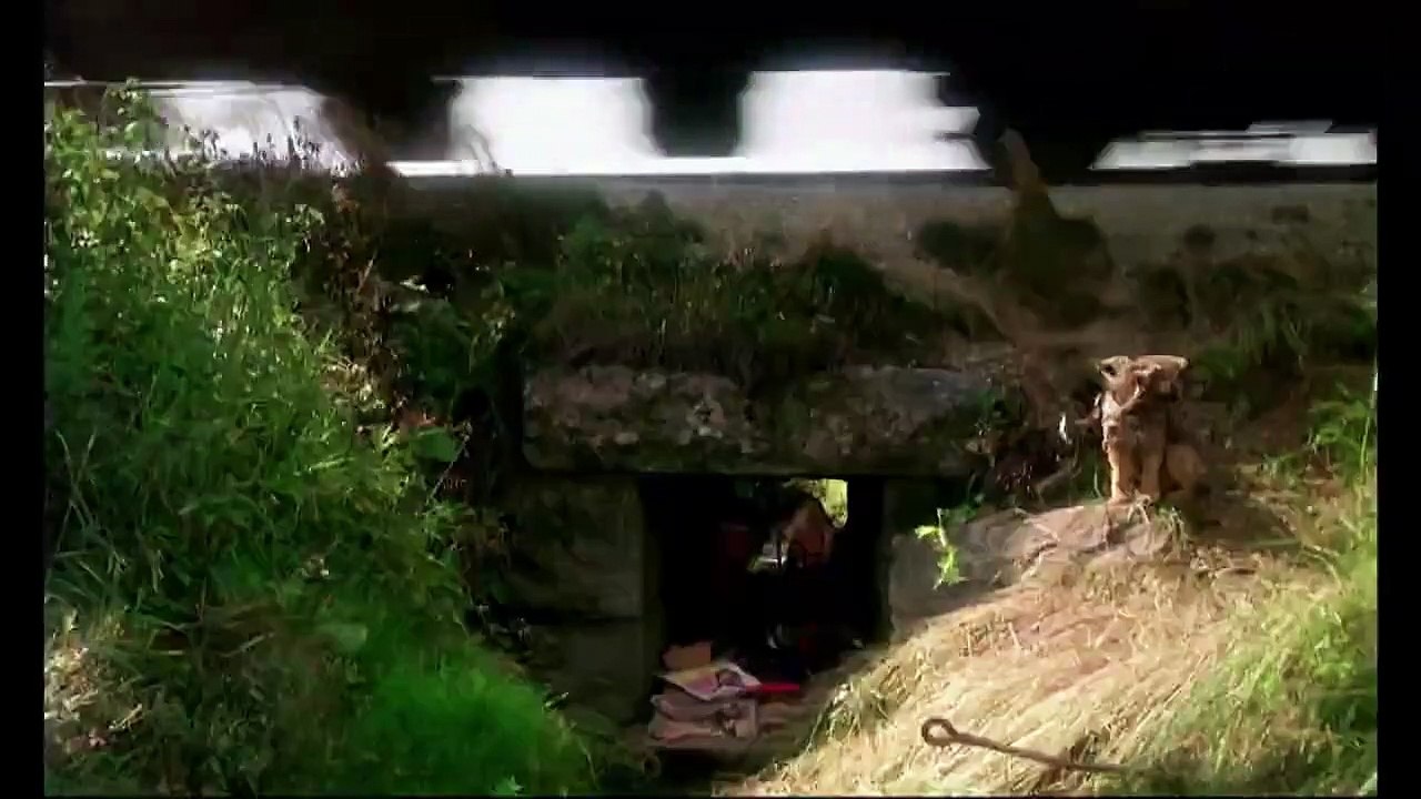 Ma vie de chien Bande-annonce VO