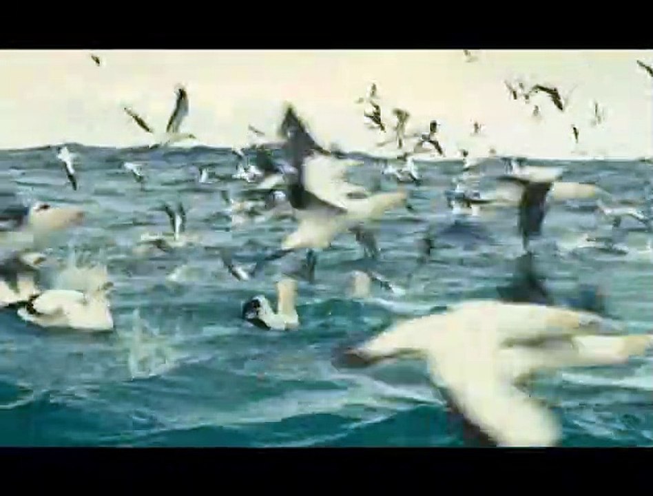 Océans Extrait vidéo VF