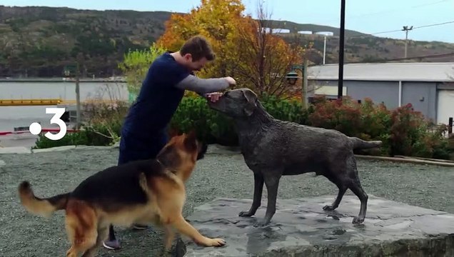 Hudson et Rex - saison 1 Bande-annonce VF