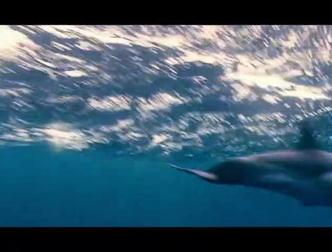 Océans Extrait vidéo (6) VF