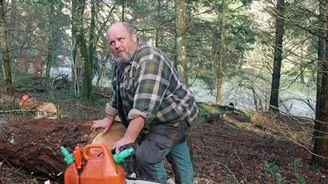 Le Temps des forêts EXTRAIT Heureux dans les bois