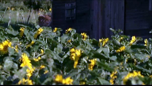 Les Messagers Bande-annonce (3) VO