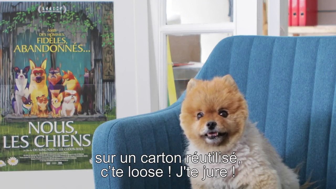 Nous, les chiens BONUS VF "Interview de Marcel"