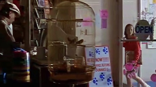 Mon ami Dodger Bande-annonce VO