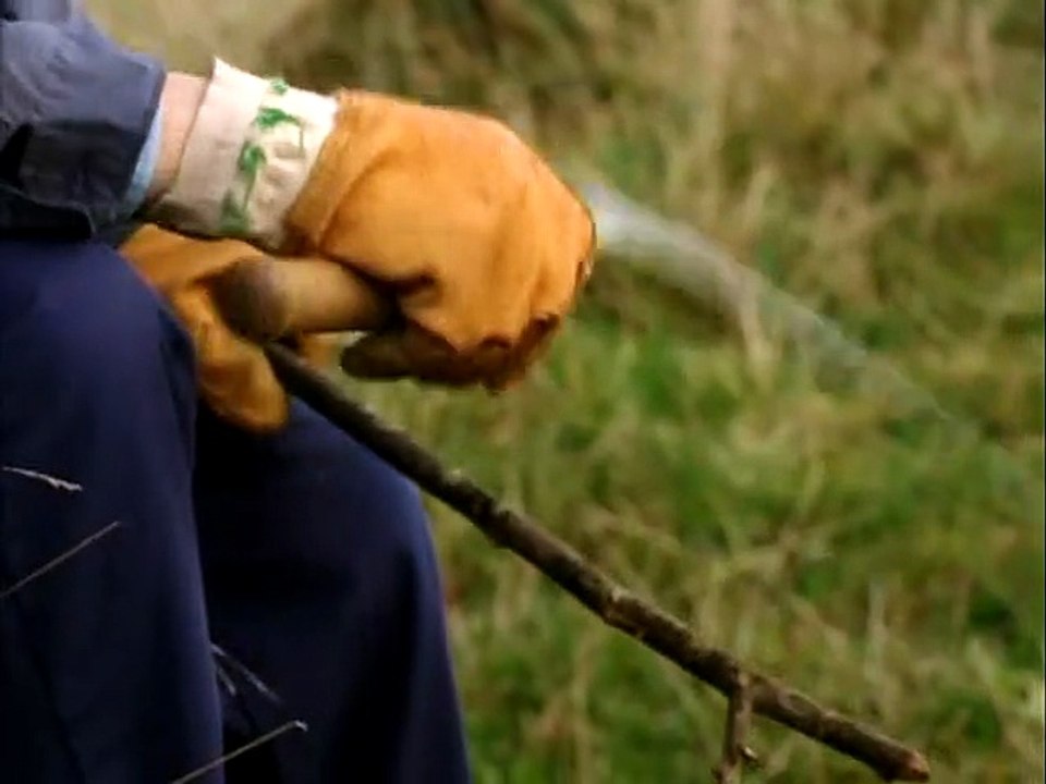 Paul dans sa vie Extrait vidéo (2) VF