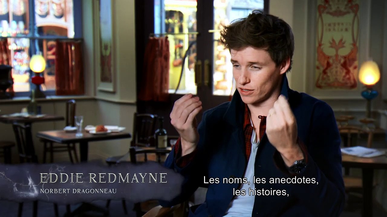 Les Animaux fantastiques - Les crimes de Grindelwald BONUS VO "Retour à Poudlard"