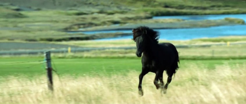 Des chevaux et des hommes Bande-annonce VO
