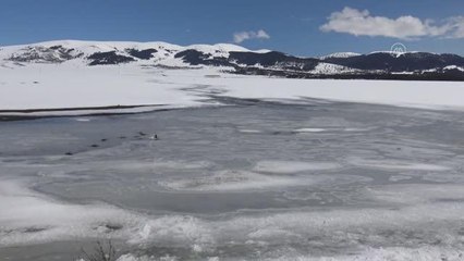 Karların erimeye başlamasıyla doğa canlandı