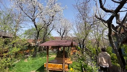 Bursa'nın tarihi köyü eski günlerine kavuşmaya hazırlanıyor