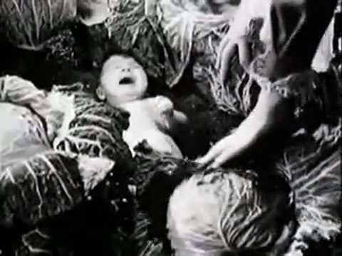 Miracle à Milan Bande-annonce VO