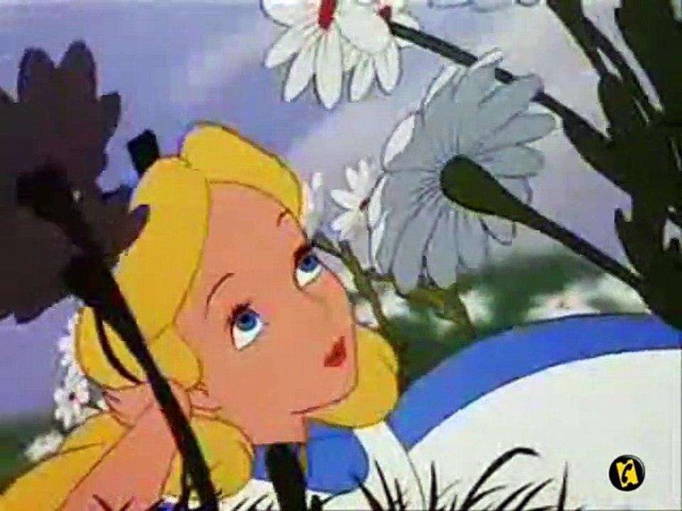 La Minute du jeudi 08 novembre 2007