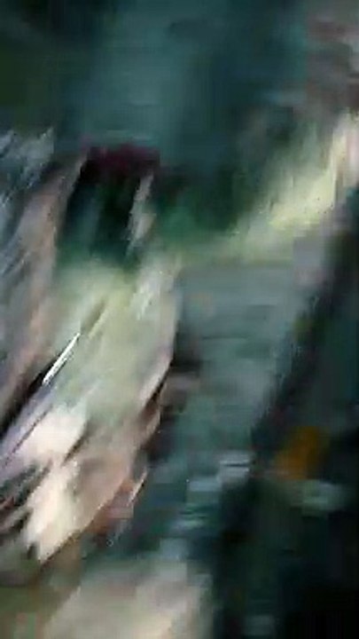 Ninja Turtles - TEASER "l'affiche animée de Raphael"