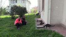 Evlerinin kapısını açtıkları sahipsiz kedileri hayata bağlıyorlar