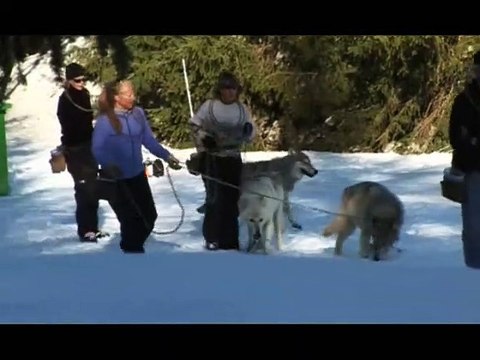 La Jeune fille et les loups Making Of (4) VF