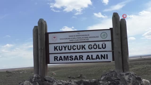 Eriyen karlar Kuyucuk Gölü'nü doldurdu