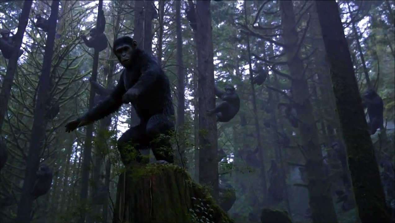 La Planète des singes : l'affrontement - EXTRAIT VF "Pas de simples singes"