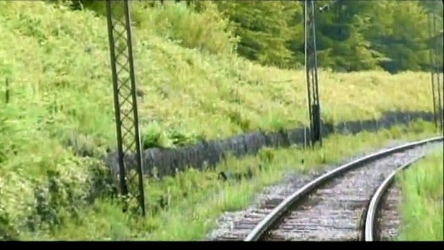 Pas de problèmes Extrait vidéo VO