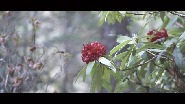 Dakini EXTRAIT VO La réalité m'intéresse plus