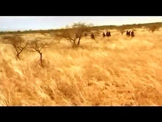 Massai, les guerriers de la pluie Extrait vidéo (2) VF
