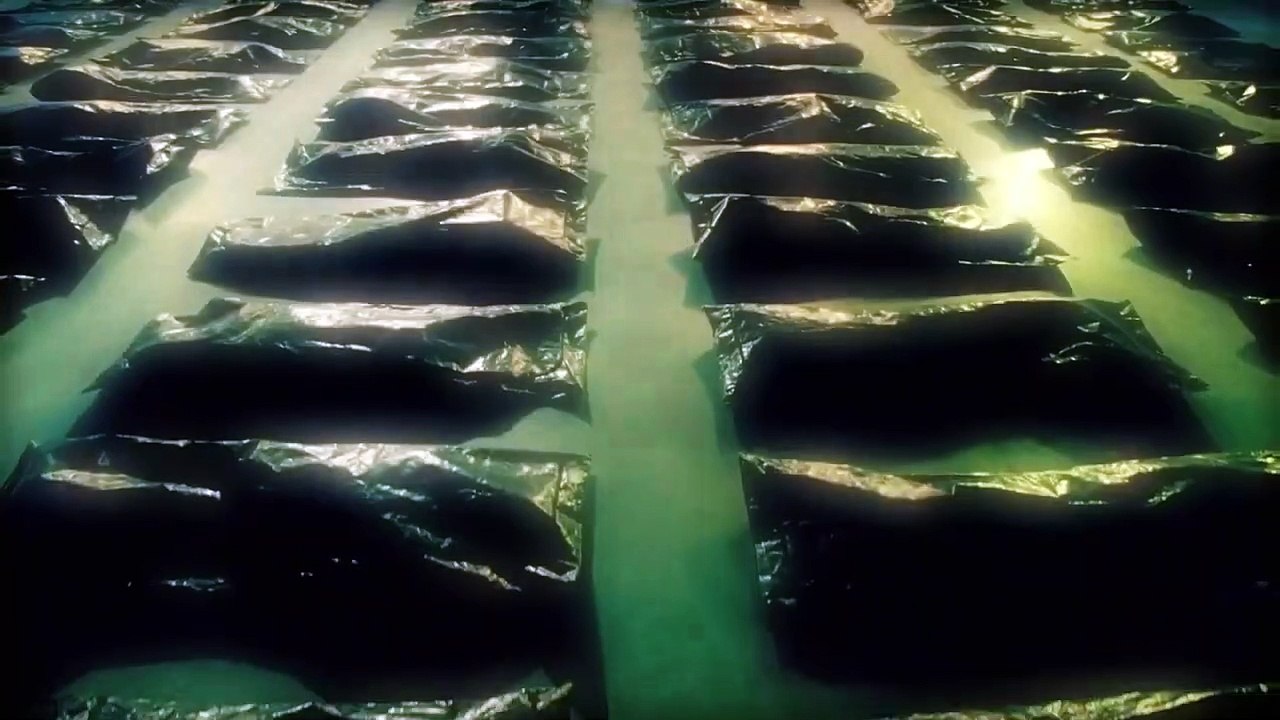 The Strain - saison 1 - épisode 3 Teaser VO