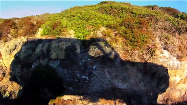 Flore Bande-annonce VF