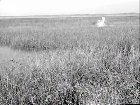 Crin blanc: Le cheval sauvage Extrait vidéo VF