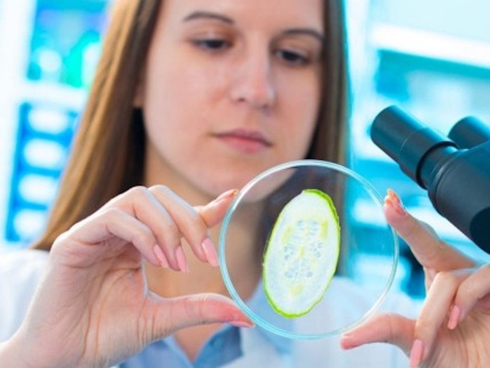 Wegen Gurkenscheibe? Lebensmittelskandal in Hessen - ein Mensch stirbt