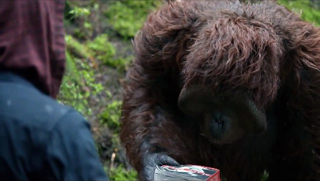 La Planète des singes : l'affrontement - EXTRAIT VF Le livre