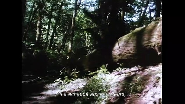 Bigfoot et les Henderson Bande-annonce VO