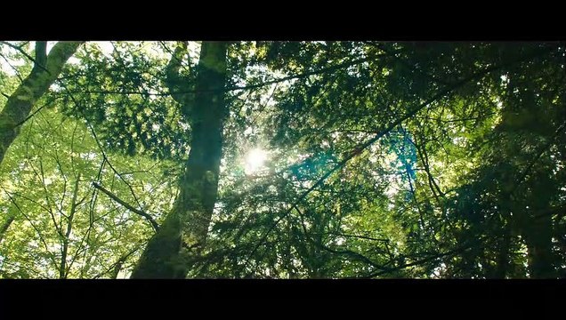 Sauvages Bande-annonce VO