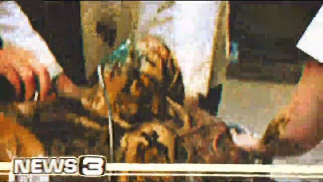 3 From Hell Bande-annonce VF