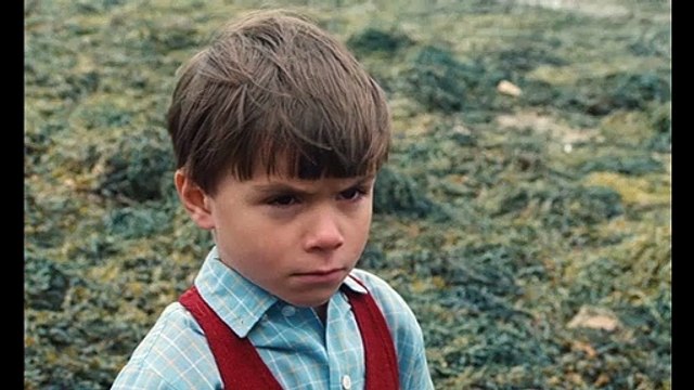 Mon Oncle d'Amérique Bande-annonce VF