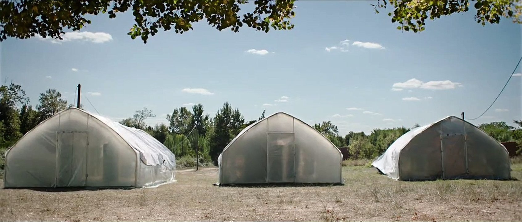 La Nuée Teaser VF