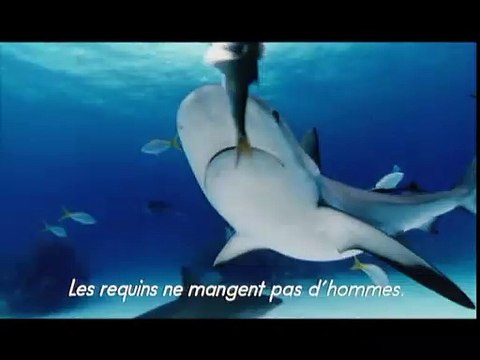 Les Seigneurs de la mer Extrait vidéo VO
