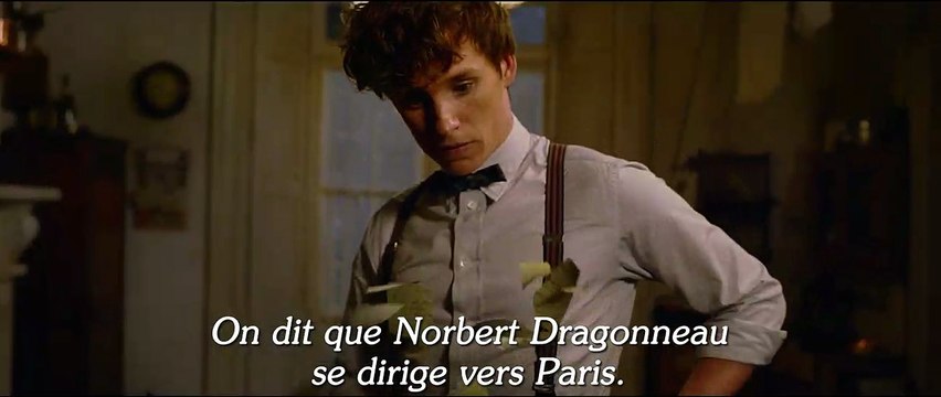 Les Animaux fantastiques : Les crimes de Grindelwald BONUS VO Les acteurs annoncent l'avant-première à Paris
