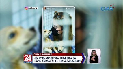 Heart Evangelista, bumisita sa isang animal shelter sa Sorsogon | 24 Oras Weekend