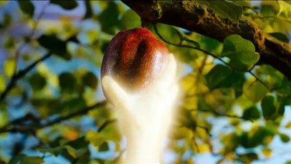 Noé Premières minutes exclusives VF