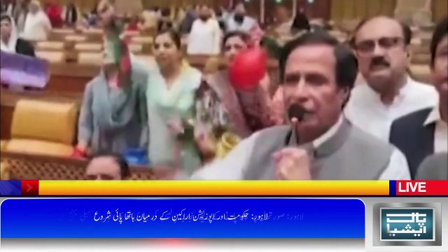 پنجاب اسمبلی میں ہنگامہ آرائی، حکومتی اراکین کا ڈپٹی اسپیکر پر تشدد