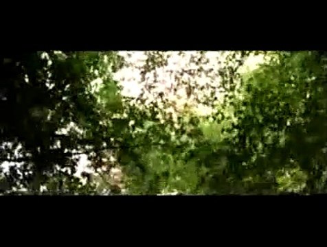 Innocence Extrait vidéo (2) VF