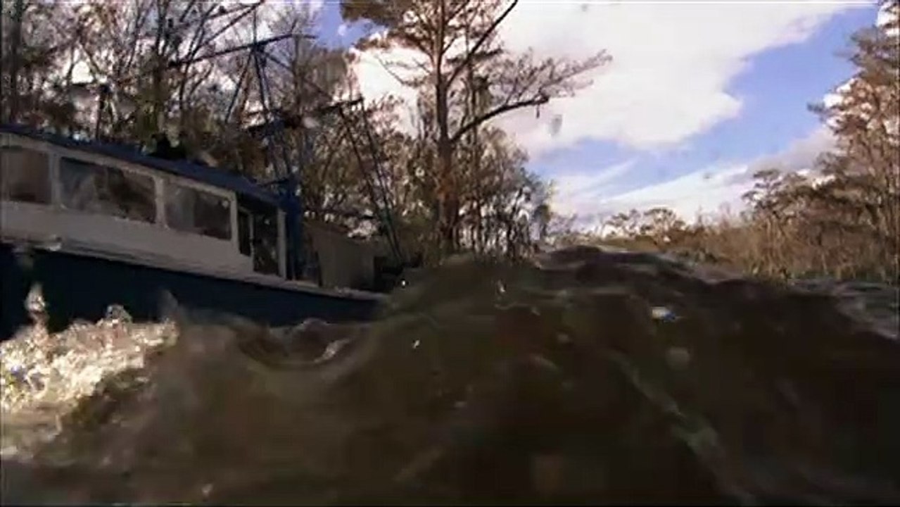 Terreur dans les bayous Bande-annonce VO