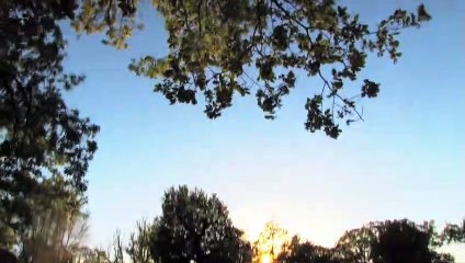 L&#039;Académie des muses Bande-annonce VO