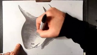 GREY SHARK ILLUSION - How to Draw 3D Shark - Trick Art by Vamos