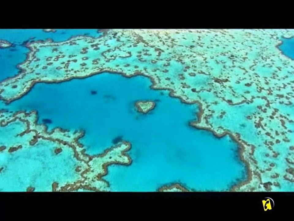 La Minute du jeudi 04 juin 2009